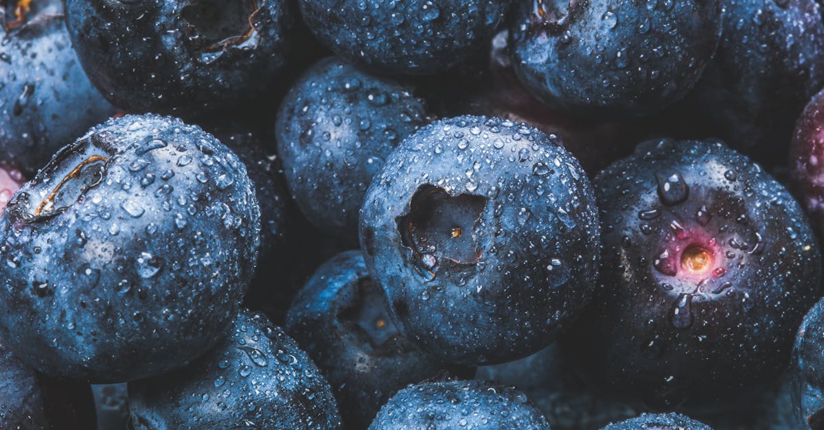 découvrez l'univers des antioxydants : des composés essentiels pour combattre les radicaux libres, protéger votre santé et améliorer votre bien-être. apprenez comment les intégrer dans votre alimentation pour des bénéfices optimaux.